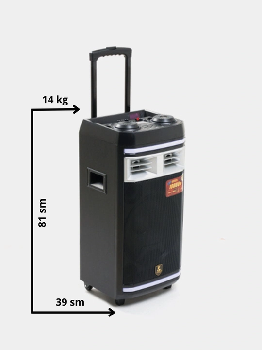 Katta simsiz kolonka AVCROWNS, 2 ta mikrofonli karaoke, bluetooth karnay, portativ kalonka