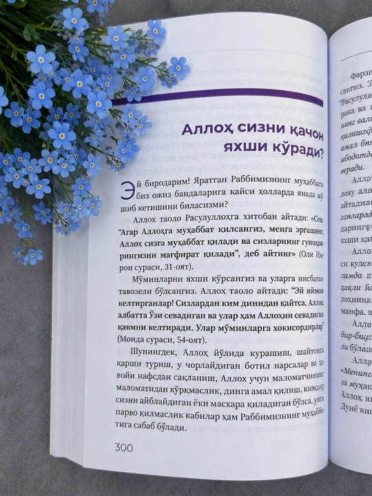 Оқшом Гўзалликлари — Hasson Shamsiy Posho | Мягкая обложка