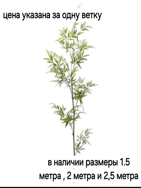Sun’iy bambuk balandligi 1,5 sm; 2 sm va 2,5 sm