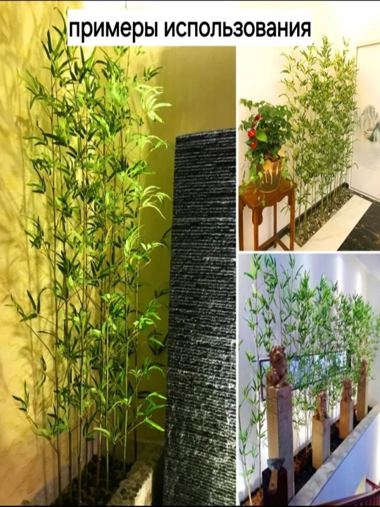 Sun’iy bambuk balandligi 1,5 sm; 2 sm va 2,5 sm