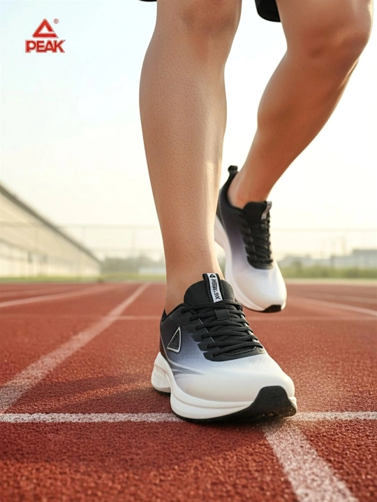 PEAK SPORT erkaklar krossovkasi, 40-46, 47, 48 Running, yugurish uchun