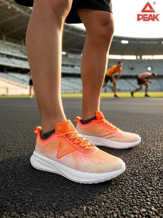 PEAK SPORT erkaklar krossovkasi, 40-46, 47, 48 Running, yugurish uchun