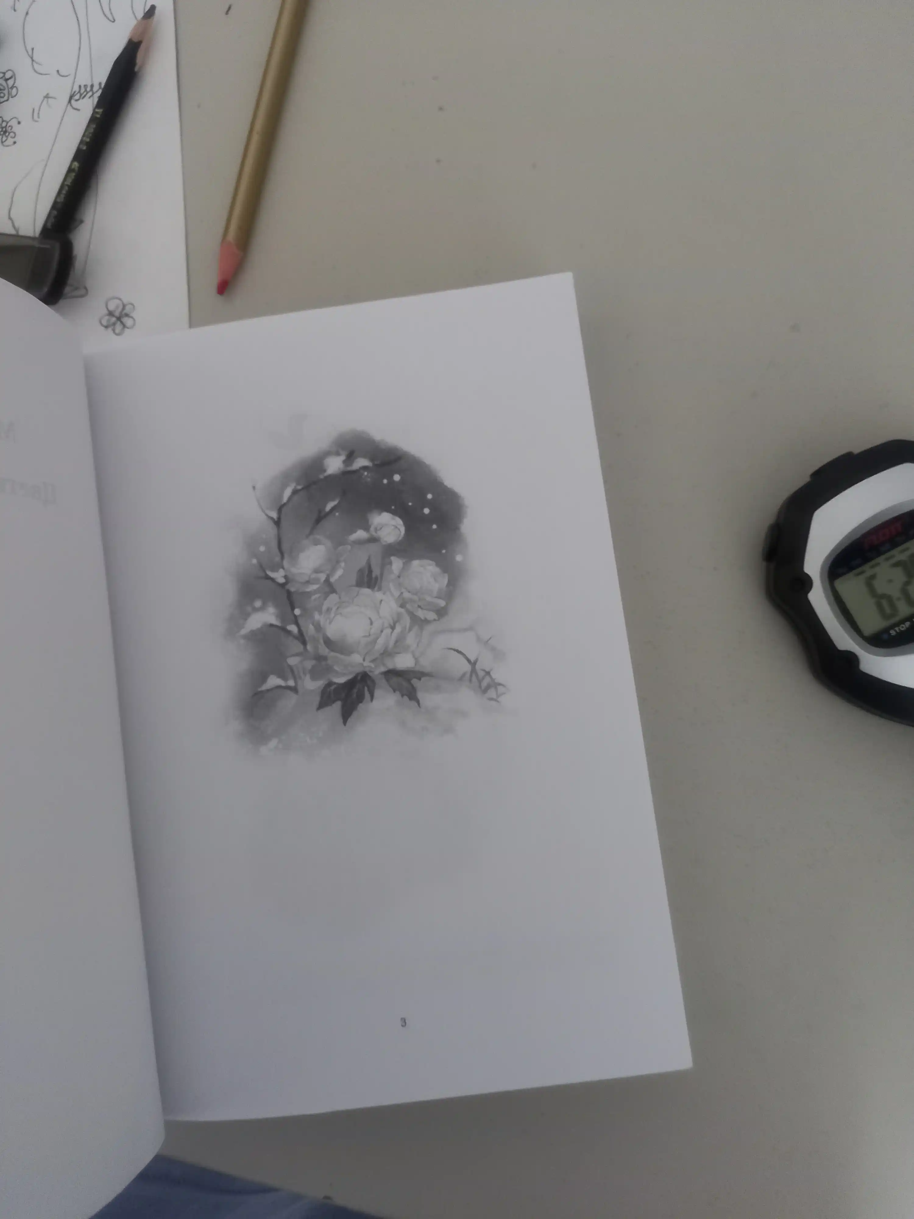 Maro Morgana. Sveti piona na snegu. 4-jild, A5, rus tilida