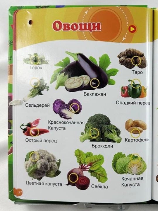 Bolalar uchun rus tilidagi o‘quv kitobi