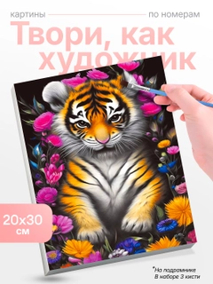 Korall