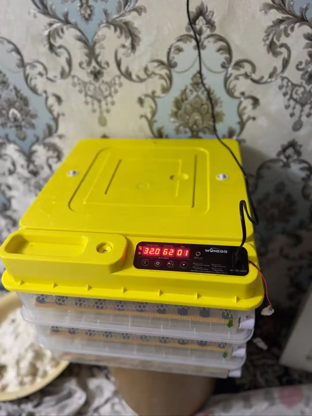 Инкубатор для яиц на 36/72/144/216/288, работает от 12В и 220В