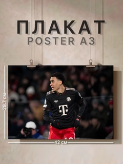 Марсала