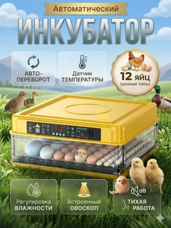 Бежевый