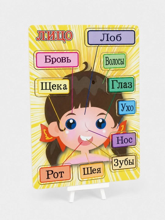Yog'och planshet "Yuz" tana qismlarini o'rganish