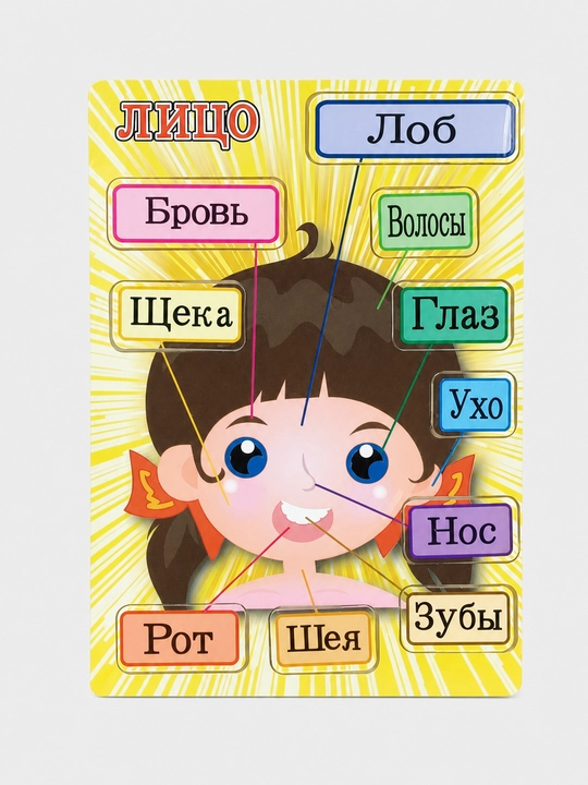 Yog'och planshet "Yuz" tana qismlarini o'rganish