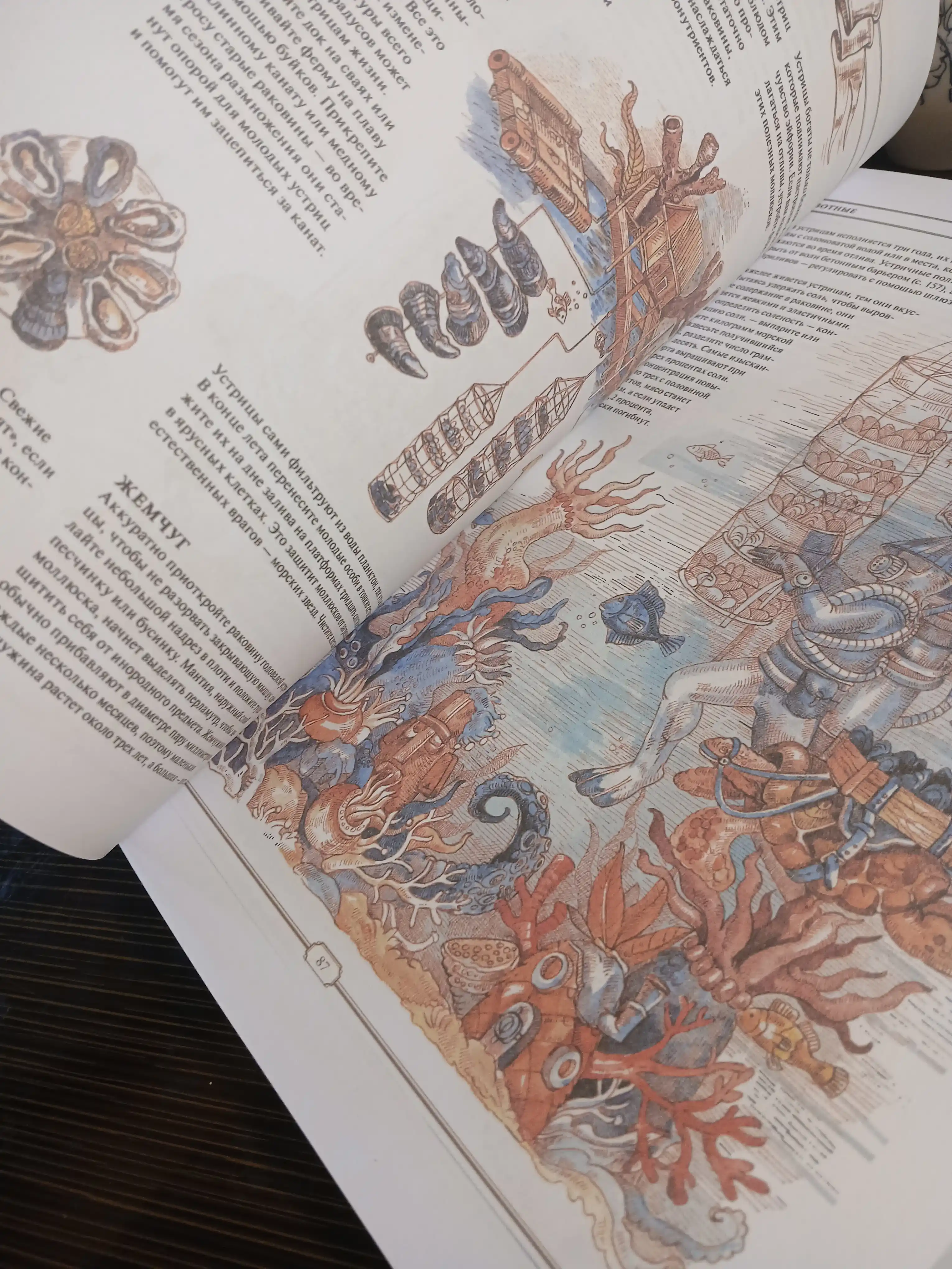 The Book. Kak sozdat' tsivilizatsiyu zanovo