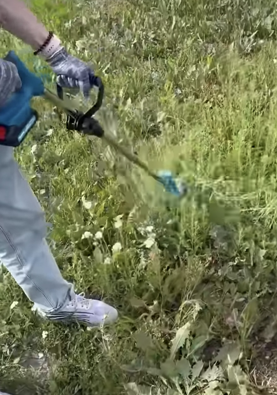 Biyoti akkumulyatorli bog‘ trimmeri