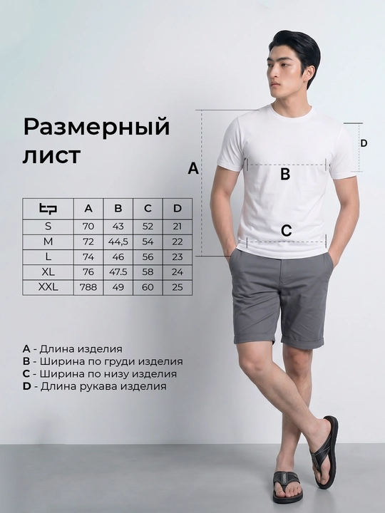 TERRA PRO футболка мужская, однотонная, базовая 100% хлопок SS26CR2-25-23330-E