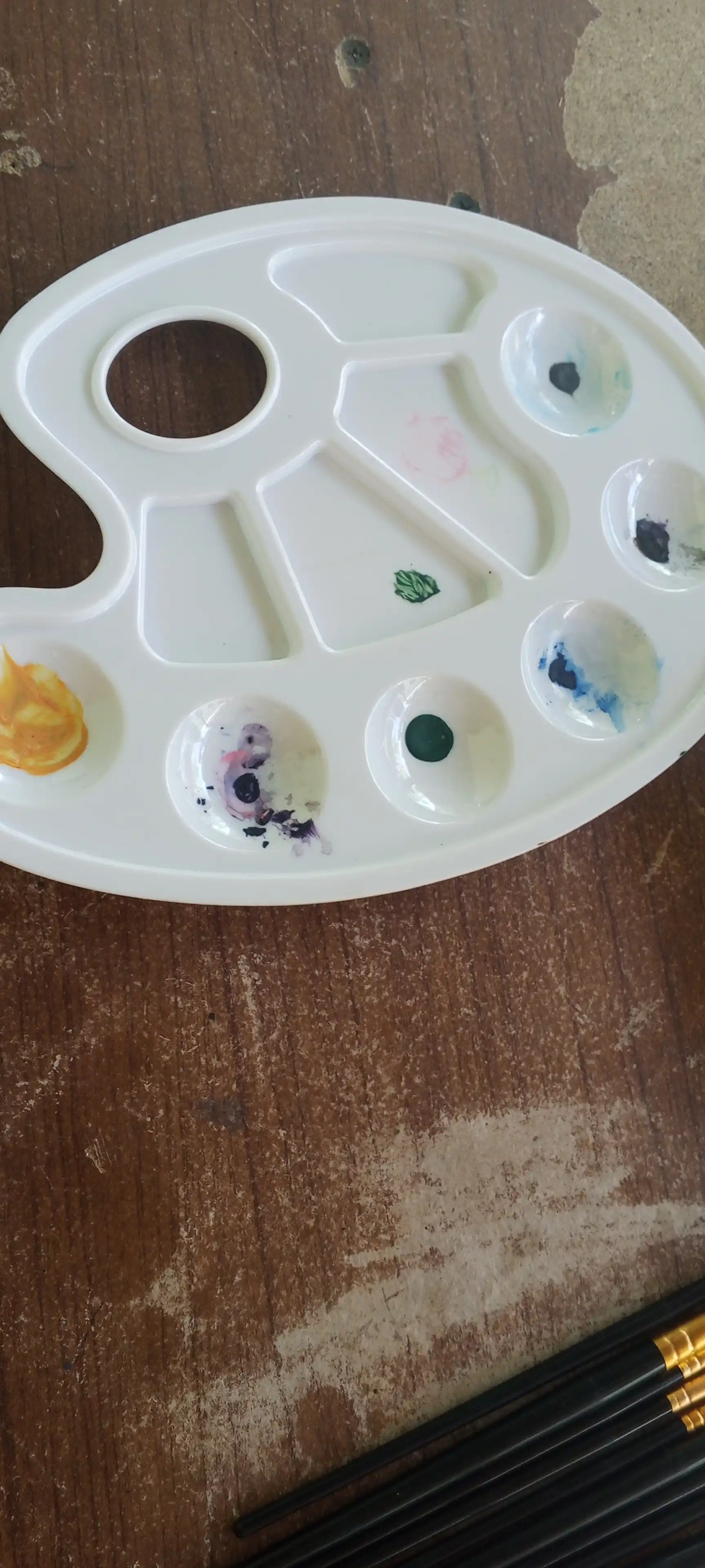 Rassom Gamma palitrasi, 6 katak, plastik