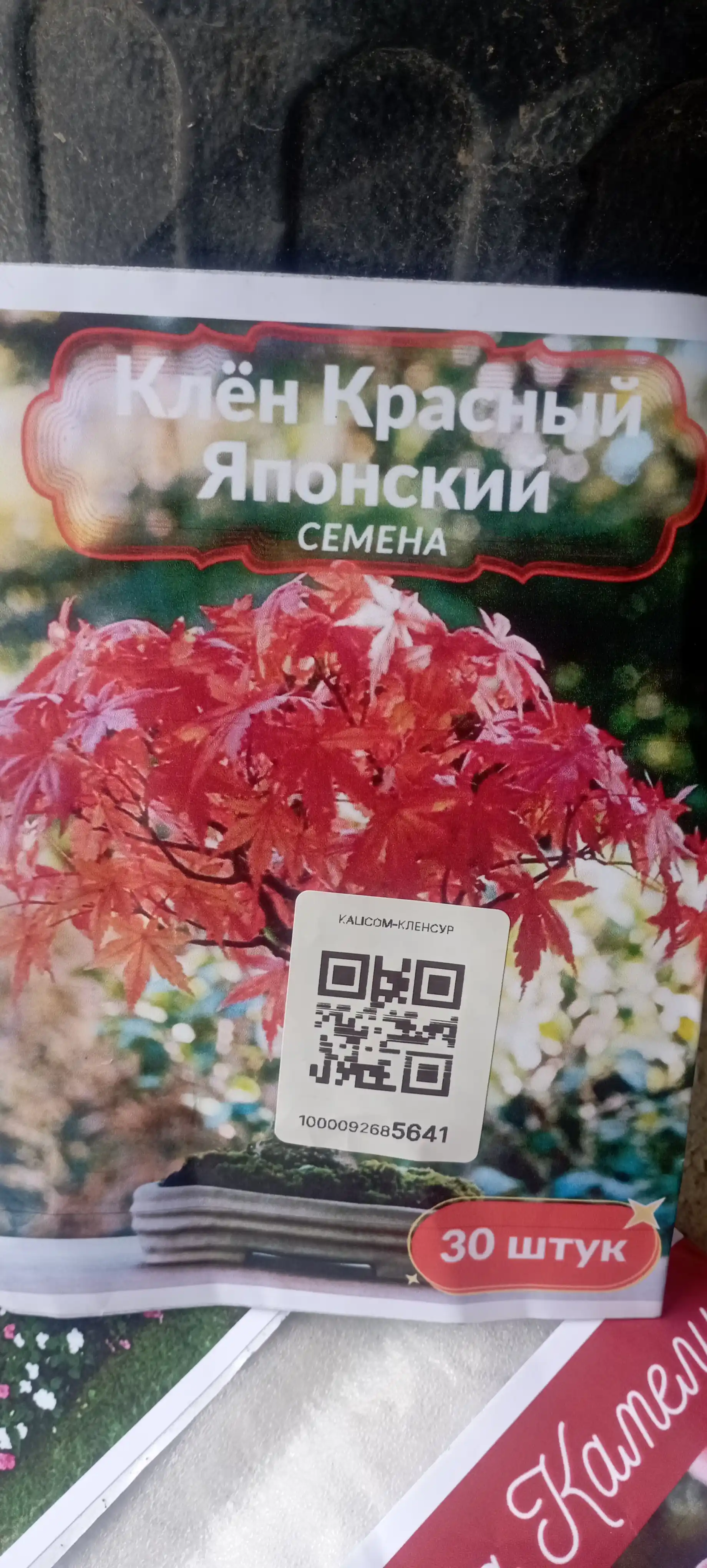 Лесландия Клен красный Японский, Семена, 30 шт, семена декоративных растений