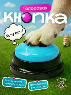 Moviy