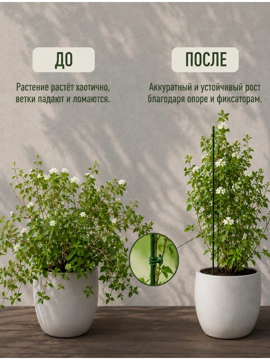 Orchid va xona gullari uchun tayanchlar Gulla 40 va 60 sm, gul ushlagich, 10 dona