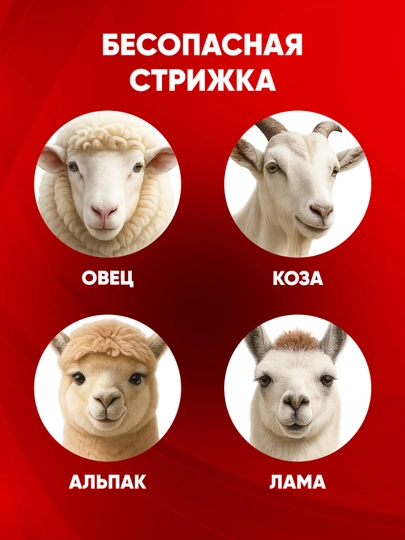 Машинка для стрижки TEH TSC808, 800 Вт, 220 В, 2800 об/мин