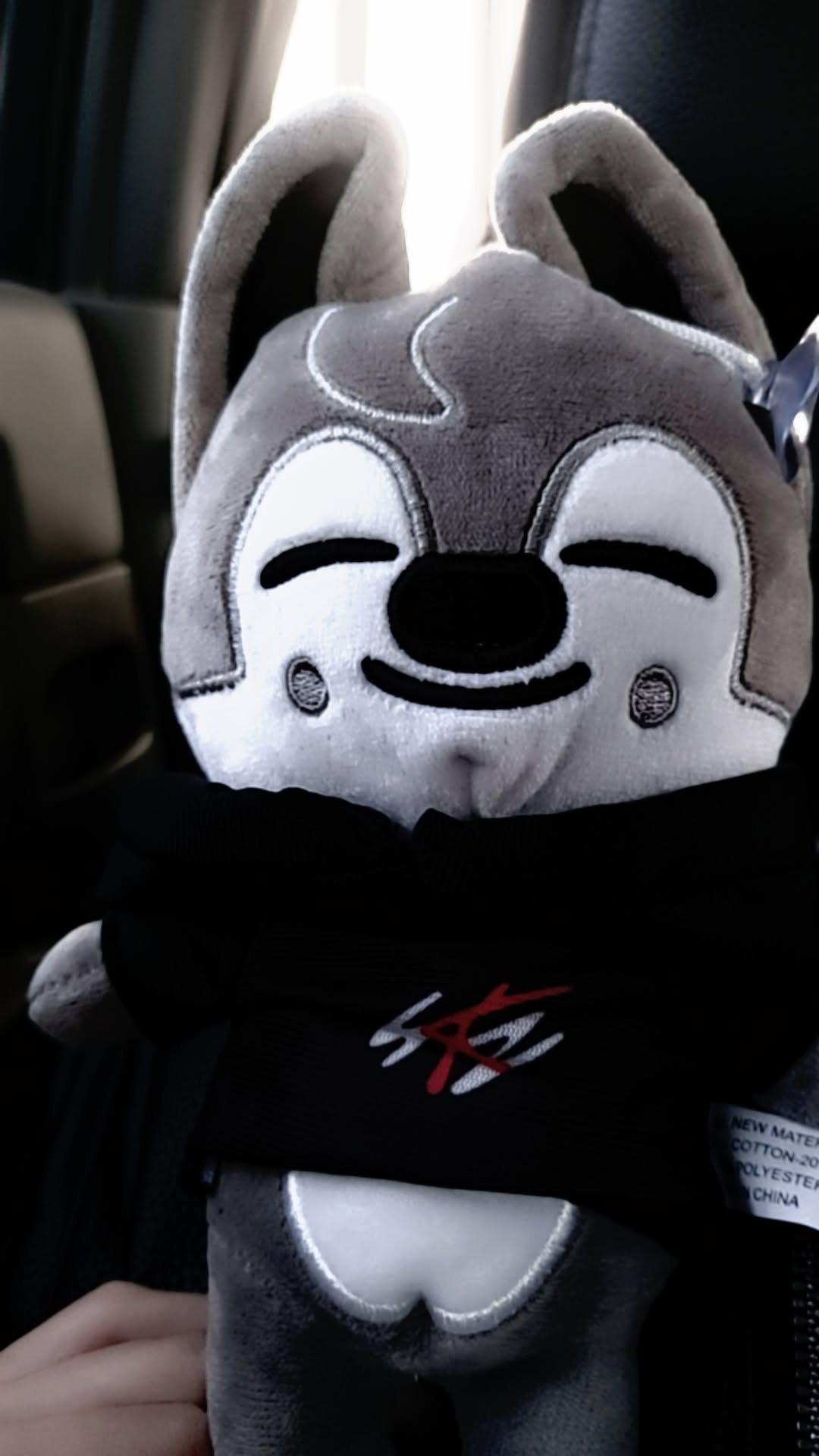 Мягкие игрушки K-Pop Stray Kids Skzoo, больше 20 видов