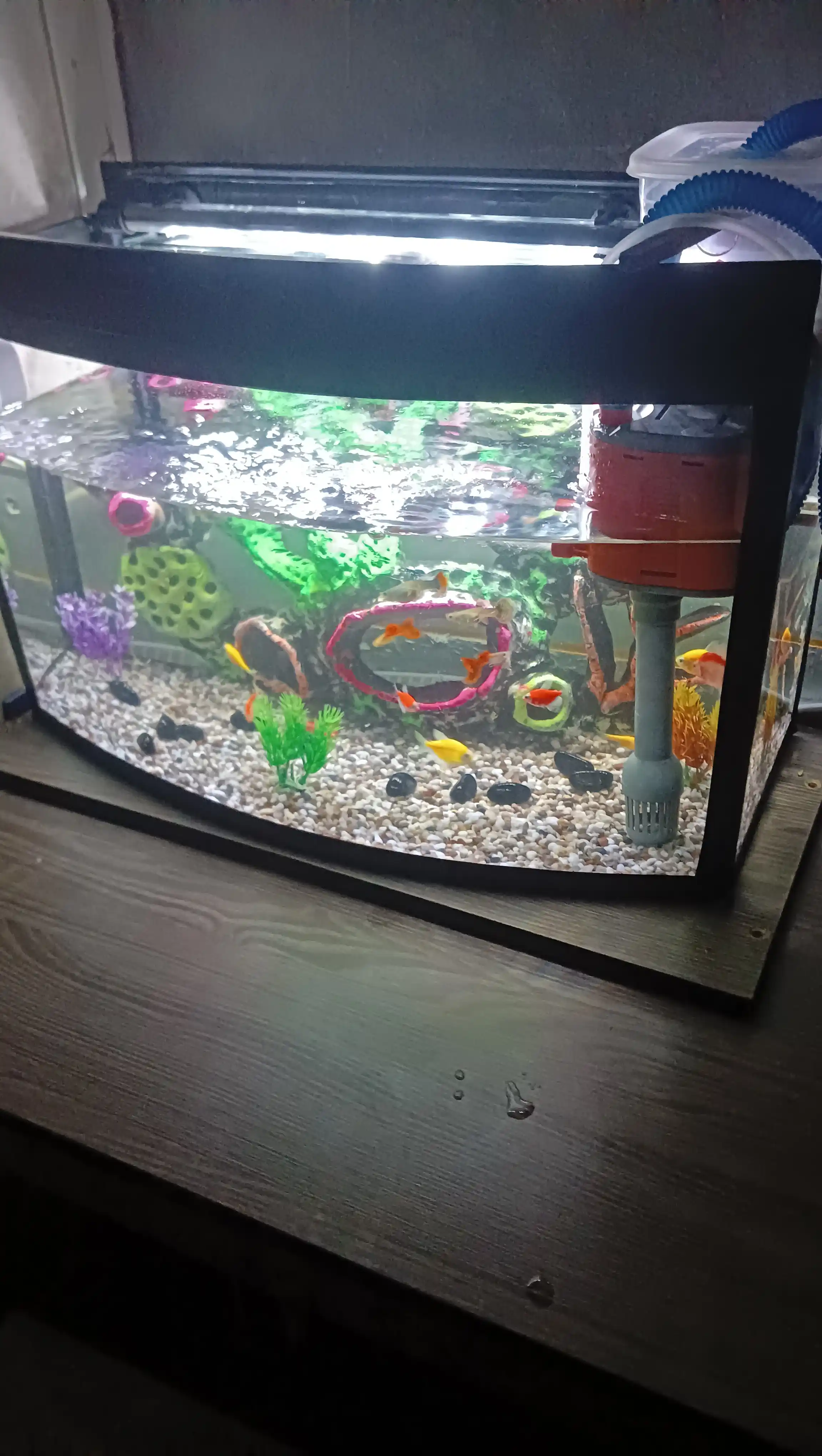 LED akvarium chirog'i, rangli o'tkazgichli chiroq, 20-100 sm, moviy, qizil, oq