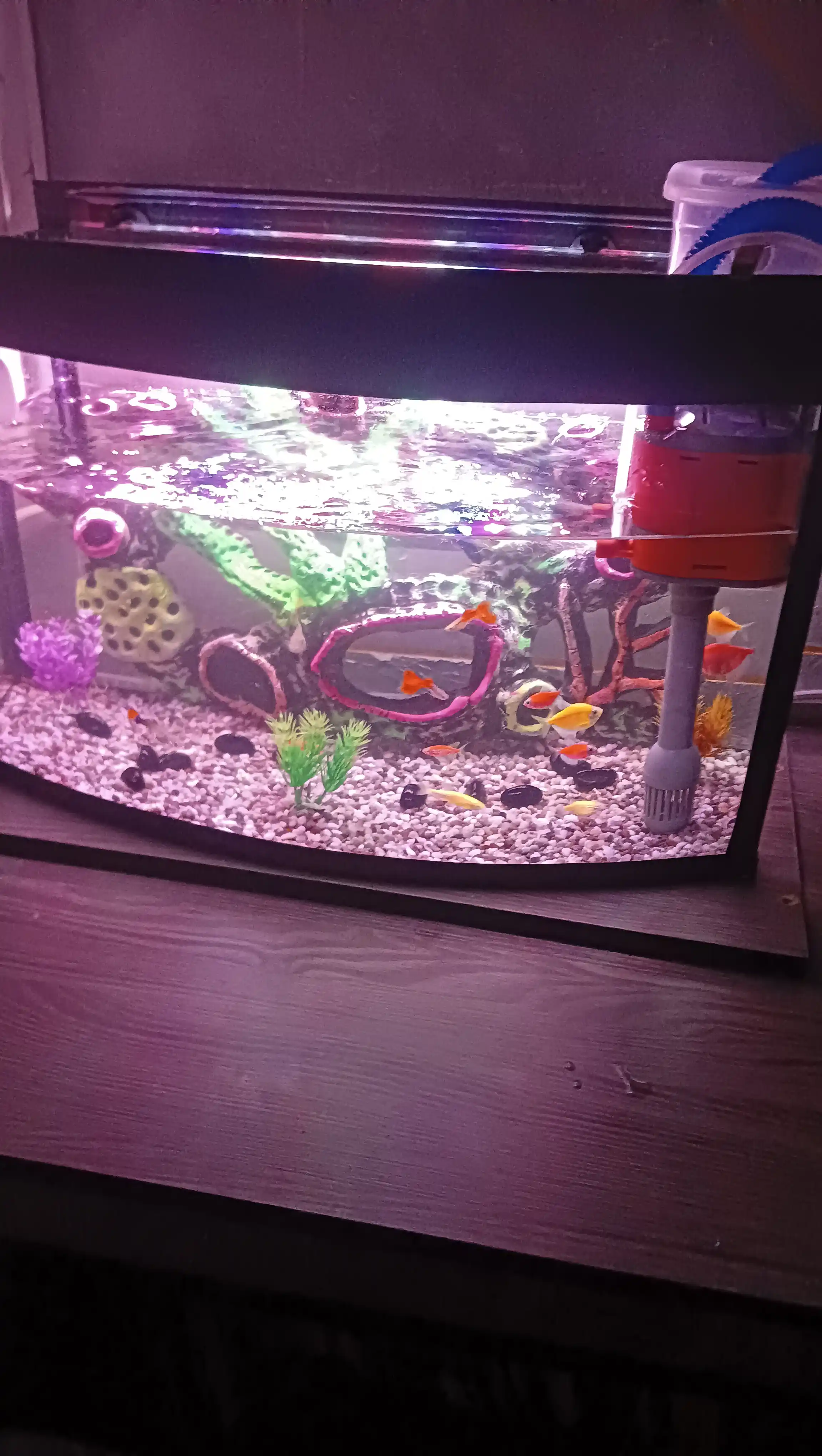 Akvarium uchun tabiiy grunt “Miks Premium” 5 mm, dekorativ tosh, baliqlar uchun xavfsiz