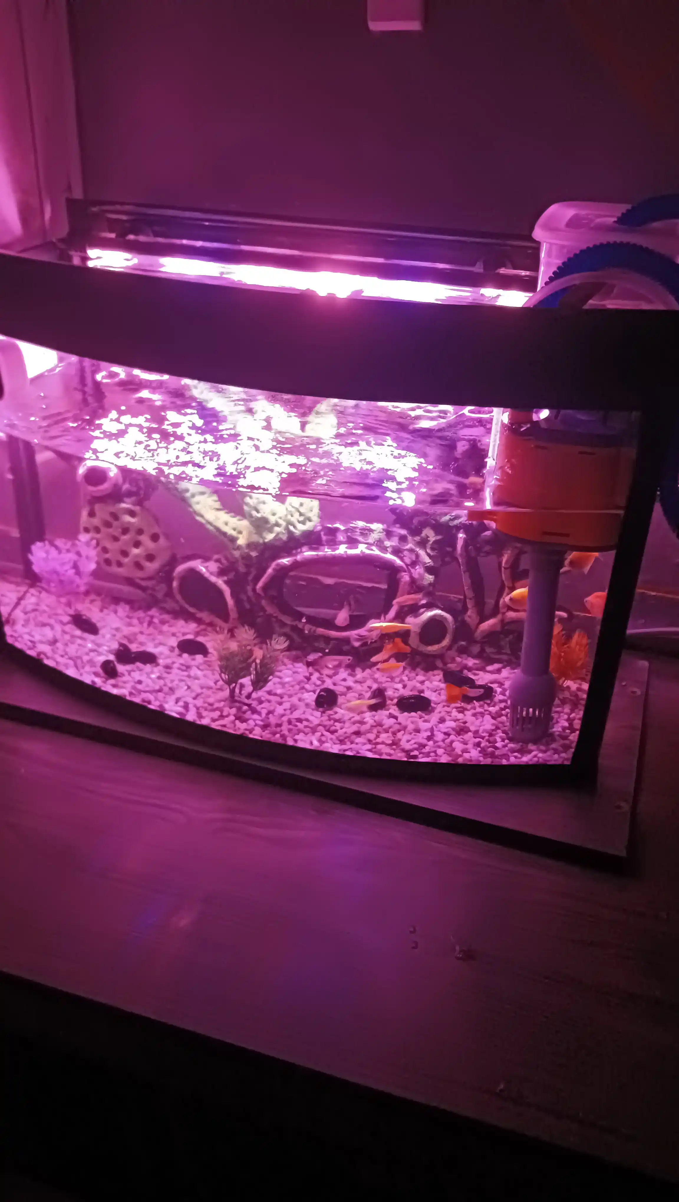 Akvarium uchun tabiiy grunt “Miks Premium” 5 mm, dekorativ tosh, baliqlar uchun xavfsiz
