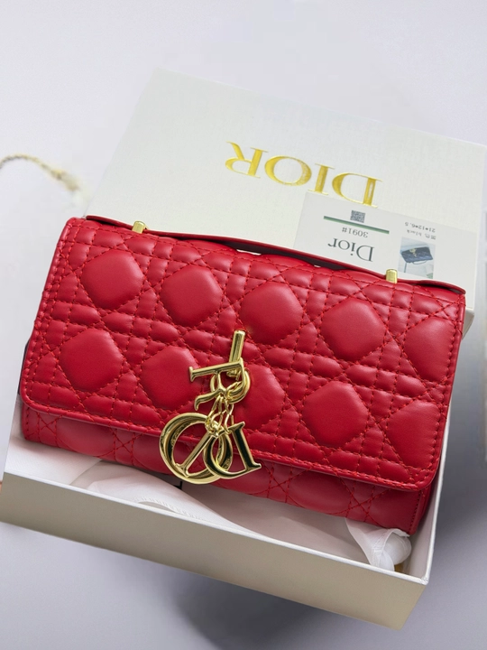 Ayollar sumkasi Dior uslubida ishlangan mini - 