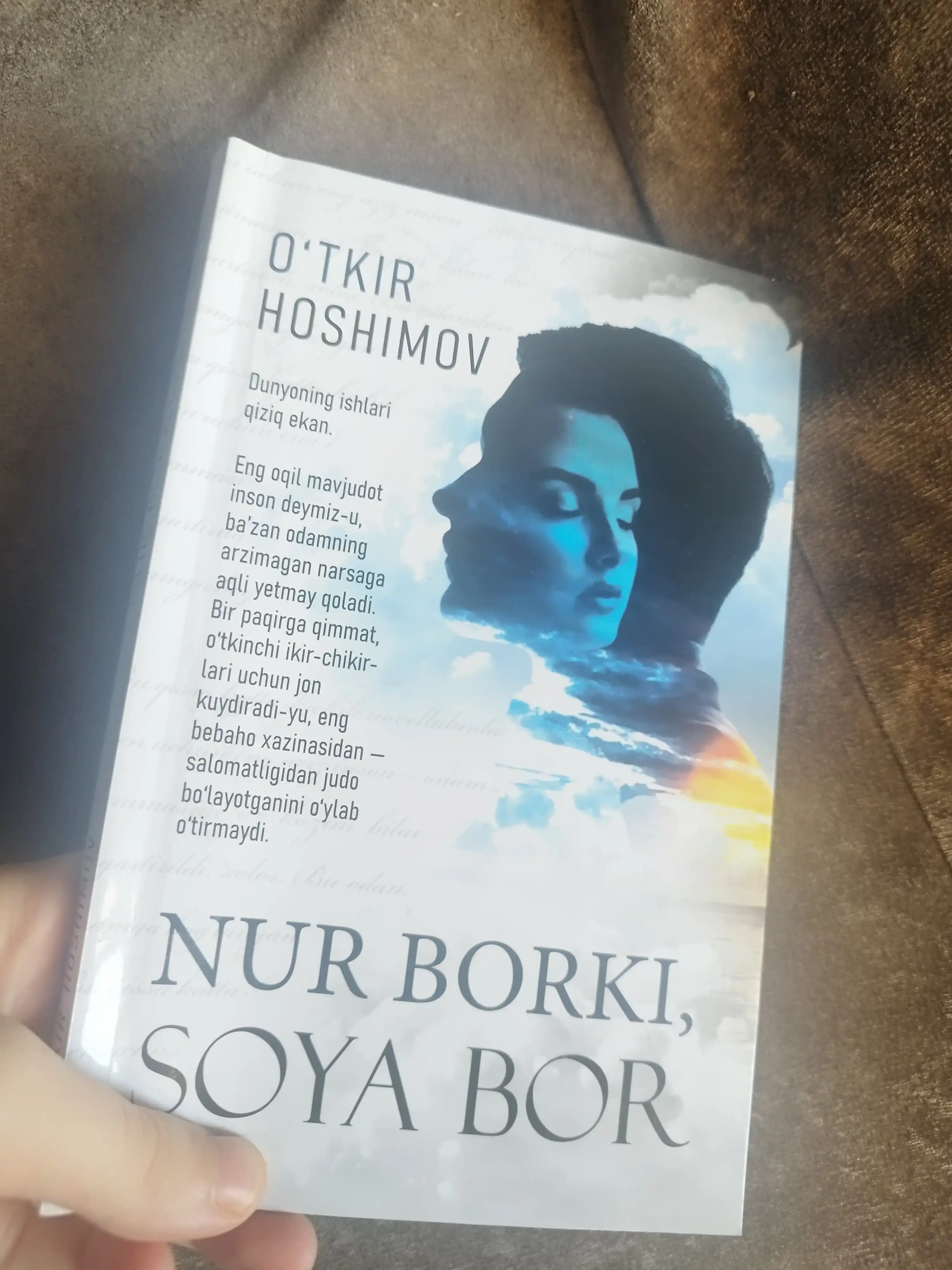 Нур борки, соyа бор
