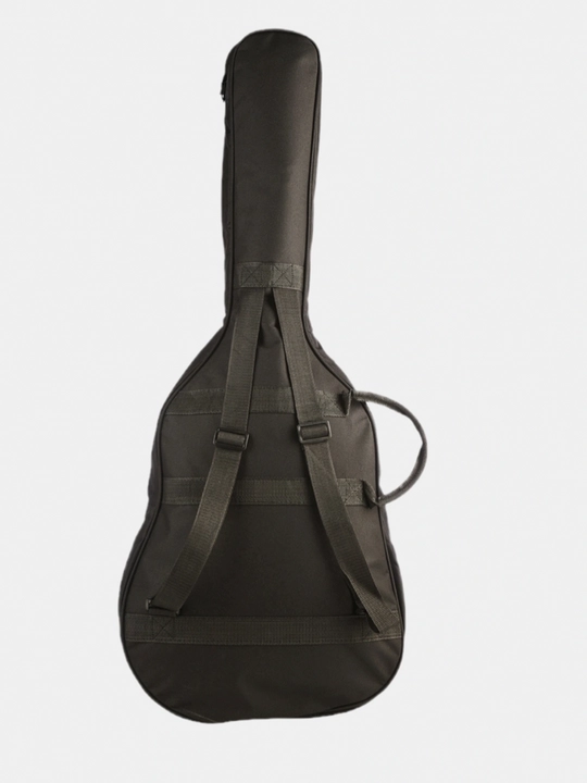 ARMOUR-Pro ARM350W Akustik Gitara G’ilofi