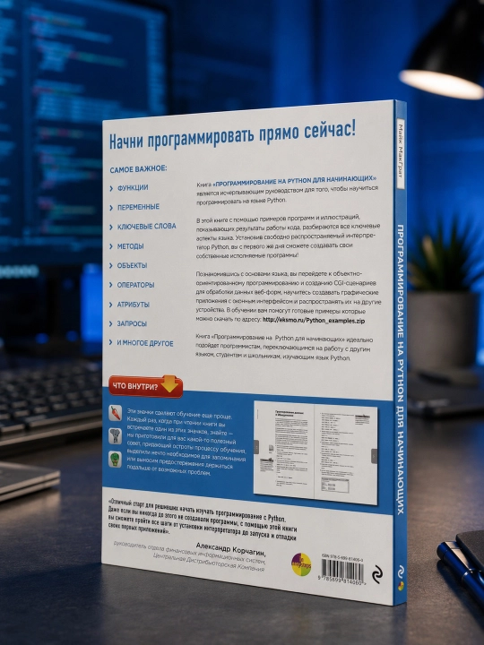 Программирование на Python для начинающих. Майк МакГрат