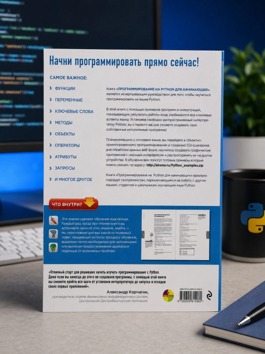 Программирование на Python для начинающих. Майк МакГрат