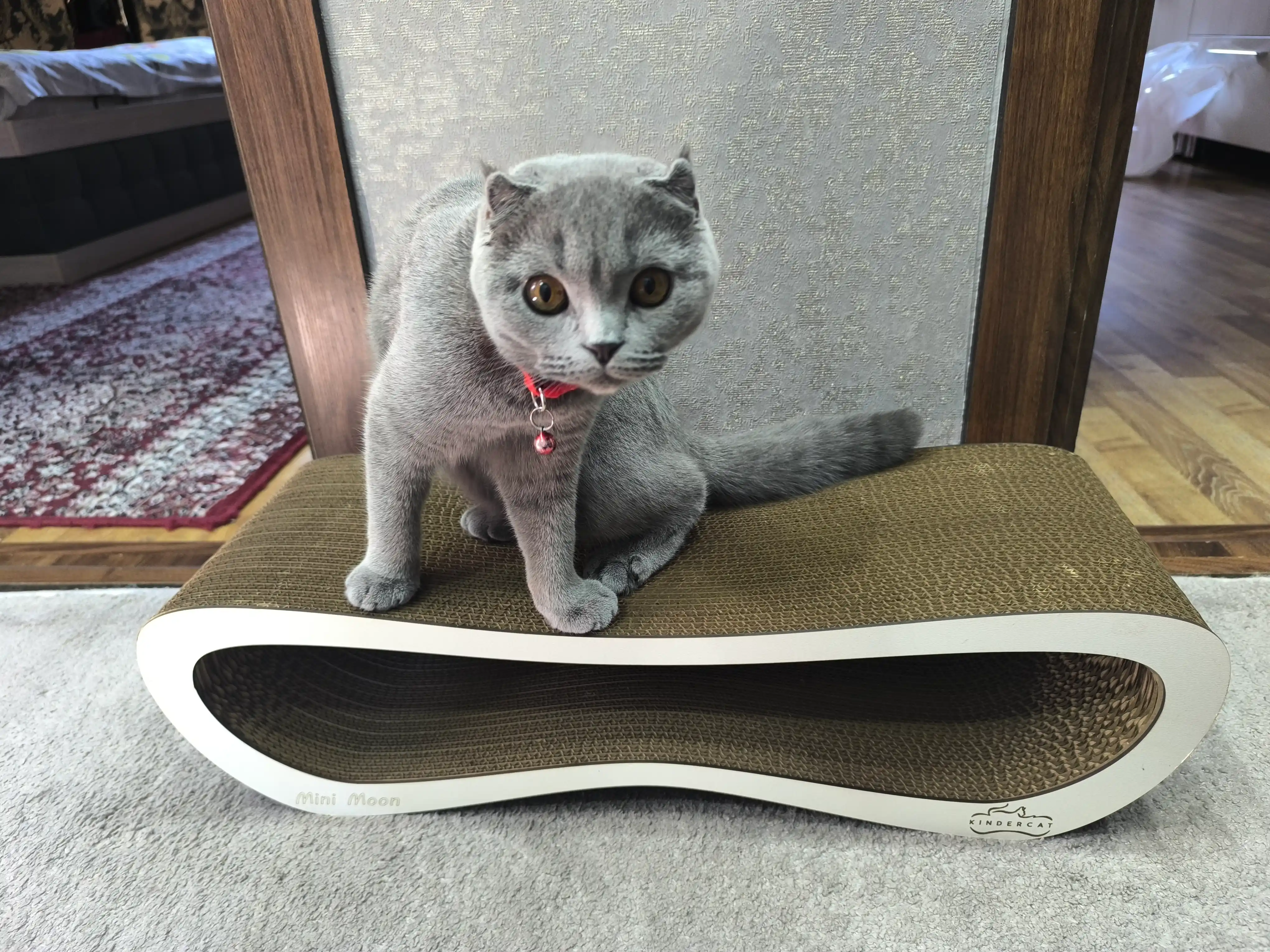 Tirnash ustuni KinderCat Mini Moon mushuklar uchun