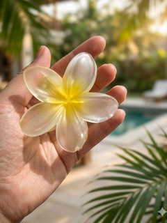 Limon rang