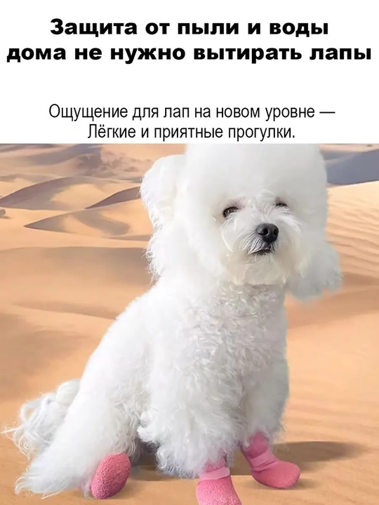 Защитная обувь для собак