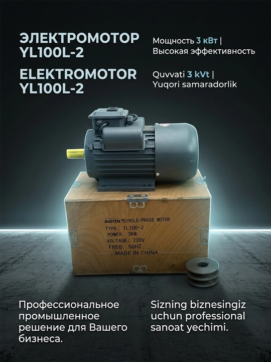 Bir fazali elektr motor 3 kVt, 220 V, 3000 rpm - 