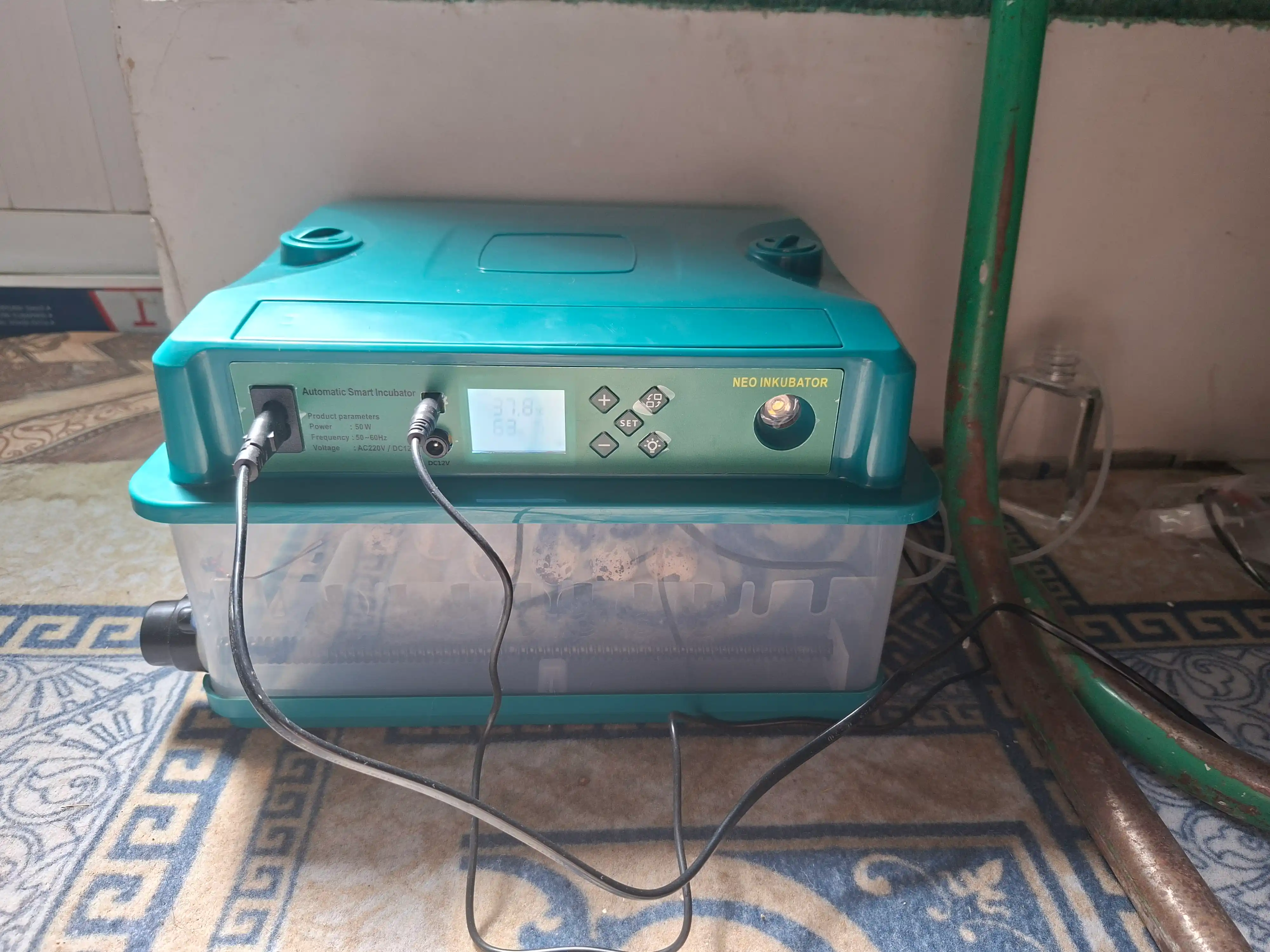 To'liq avtomatik inkubator, 12/24/36/64/100/128/200/300/400, 12V va 220V dan ishlaydi