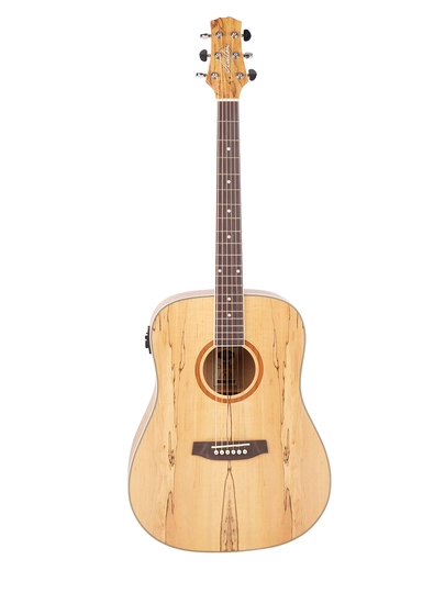 Ashton D26EQ SPM Электроакустическая гитара