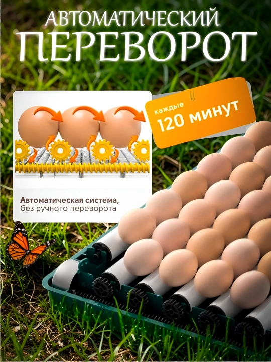64 ta tuxumga mo‘ljallangan avtomatik inkubator, mini ferma