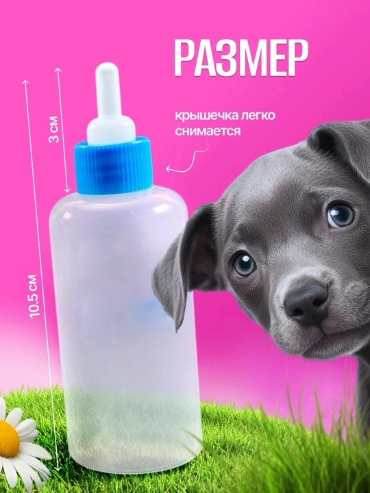 Yangi tug‘ilgan mushuklar va itlar uchun so‘rg‘ichli shisha idish, 50 ml