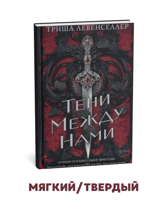 Oramizdagi soyalar - Trisha Levenseller - 