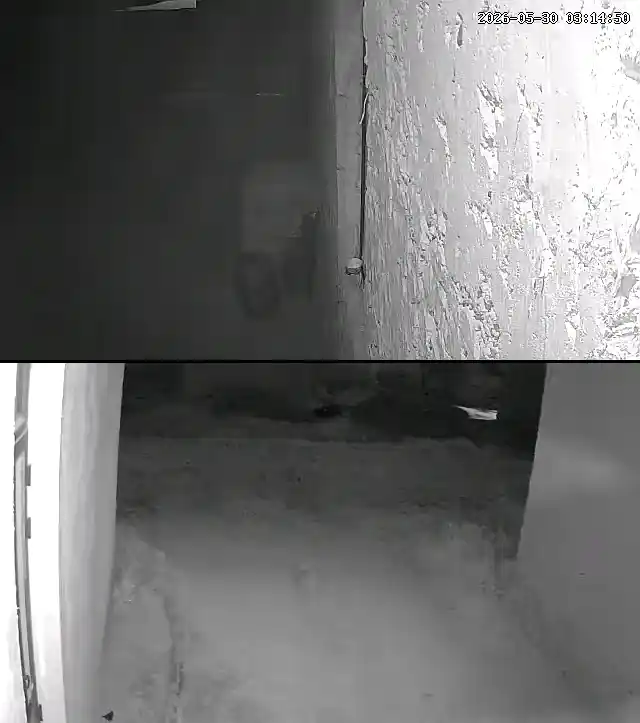 4G sim kartali kamera, 2 linzali, xavfsizlik kamerasi, Smart PTZ Camera, V380 PRO