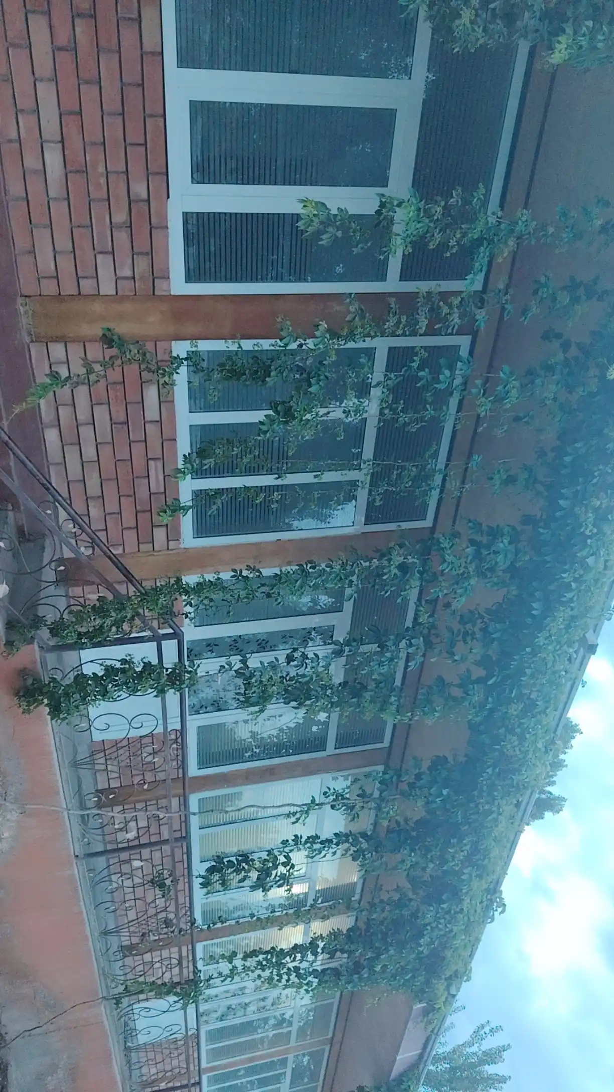Maxfiylik va yumshoq yorug‘lik uchun derazalar uchun dekorativ quyoshdan himoyalovchi xira plyonka