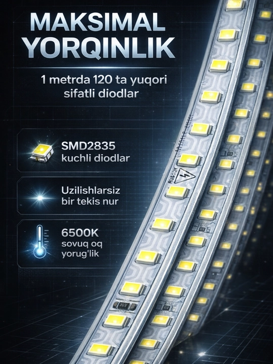 LED Lenta 220V SMD2835 120D IP65  Suvga chidamli, 10 sm kesiladigan, sovuq oq nur 6500K