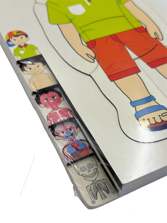 Yog‘och Anatomik Puzzle – Inson tanasi tuzilishini o‘rgatuvchi rivojlantiruvchi o‘yin
