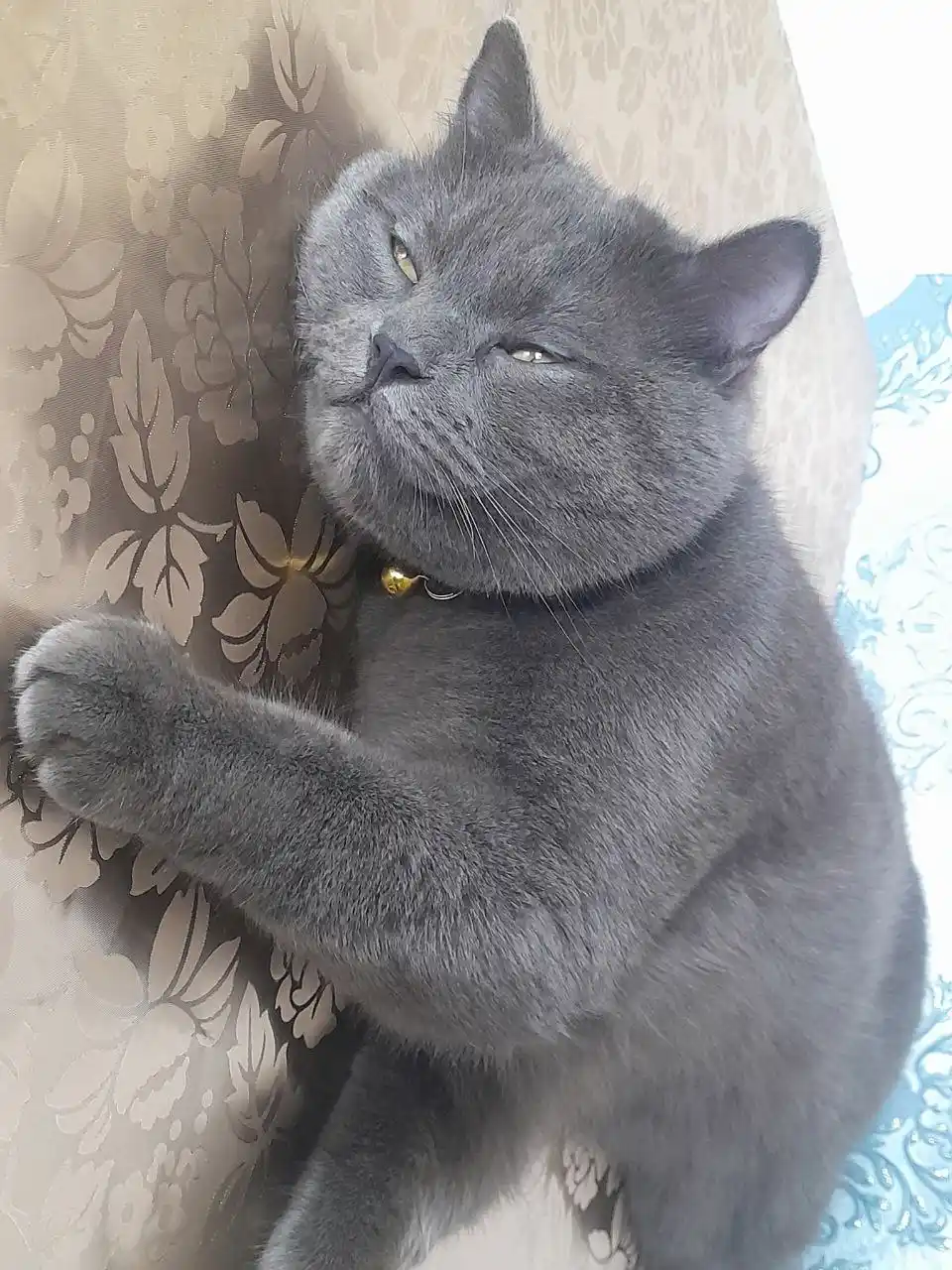 Lamour влажный корм для кошек, с говядиной в соусе, 75 гр 28 шт