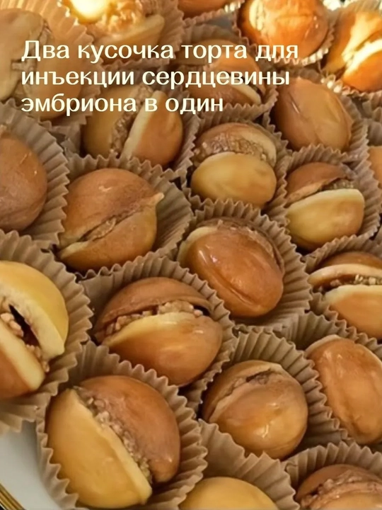 Cho‘yan vafli pishirgich, yong‘oq pishirish uchun qolip