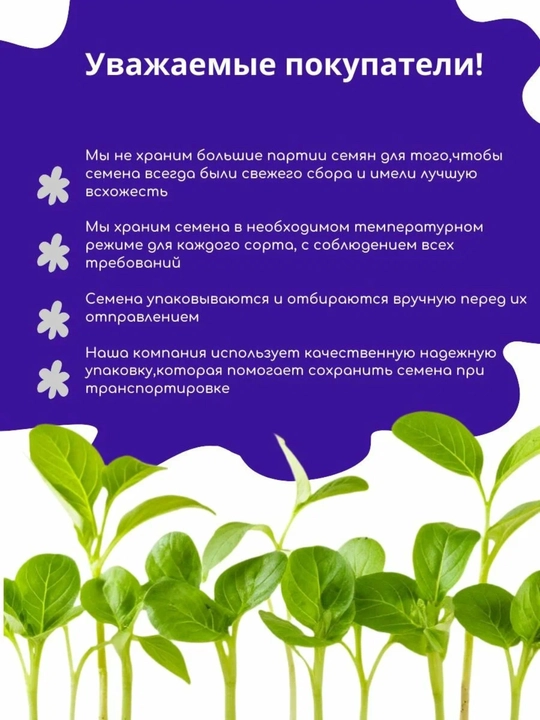 Doimiy yashil, yirik gulli, manzarali magnoliya Urug‘lar 8 dona + sovg‘a