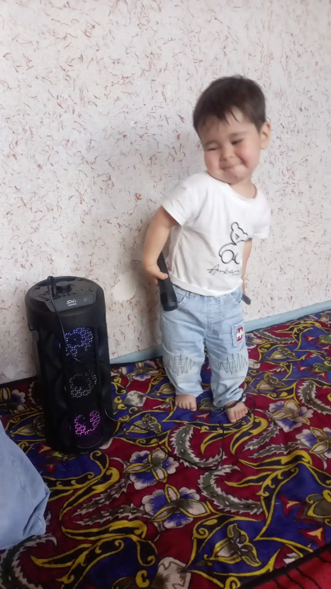Portativ Kolonka, Simsiz Bluetooth Karaoke musiqasi, mikrofonli, pultli va RGB yorug'lik