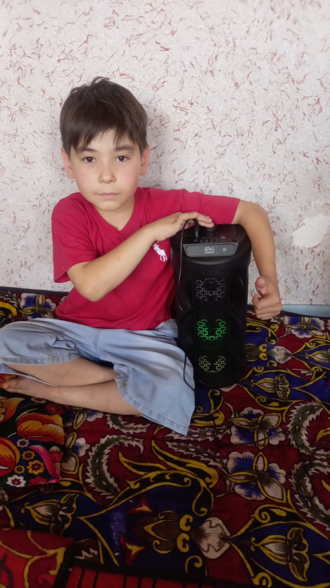 Portativ Kolonka, Simsiz Bluetooth Karaoke musiqasi, mikrofonli, pultli va RGB yorug'lik