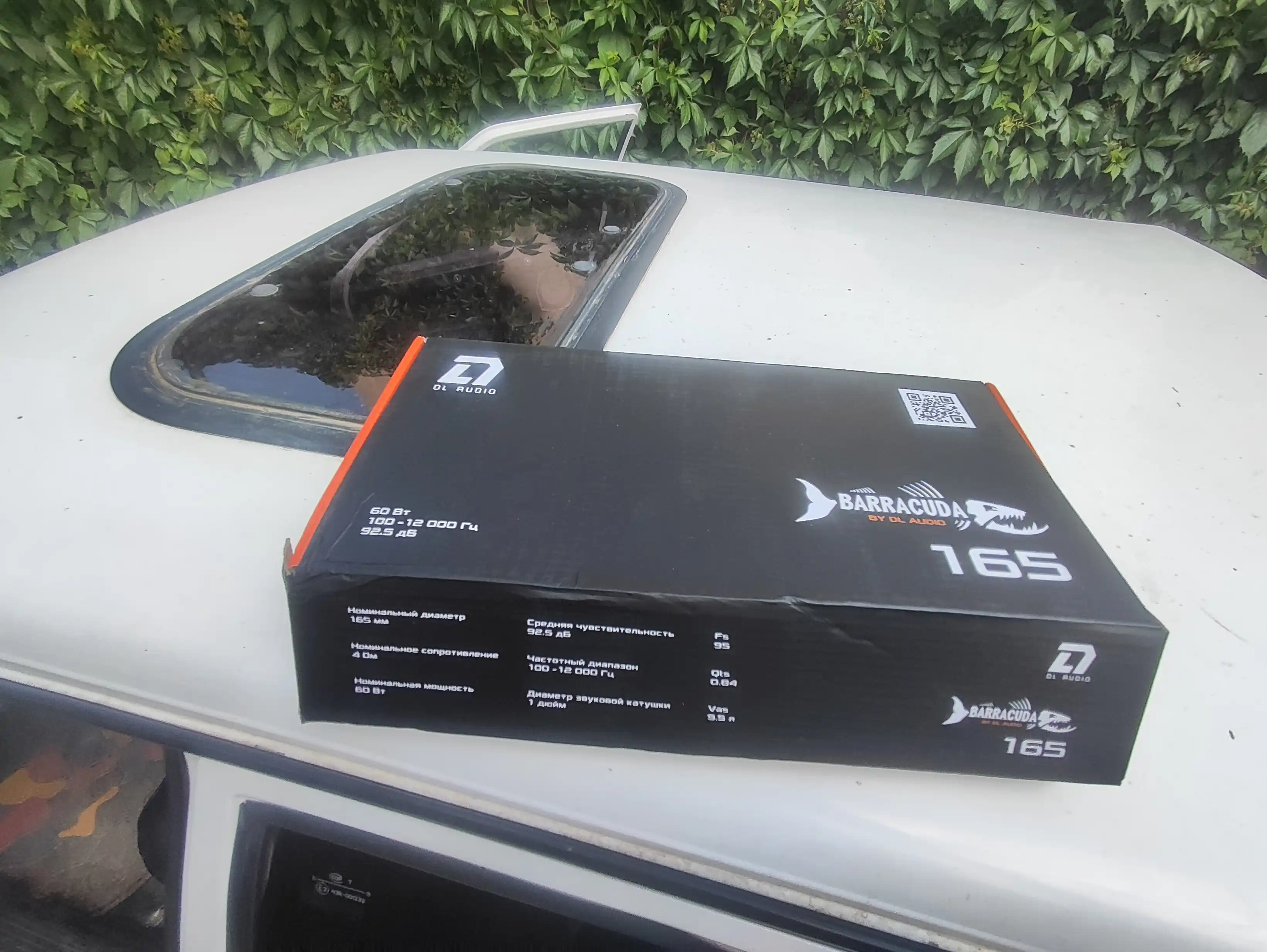 Baland ovozli o'rta chastotali dinamiklar DL Audio Barracuda 165 V.2 ORG, 16 sm (75 Vt)